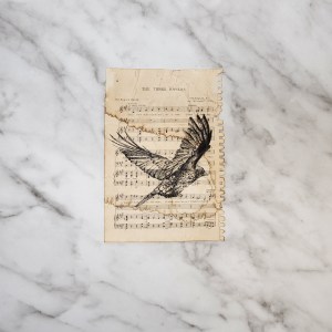 Found Material & Ink Collection, Test Flight