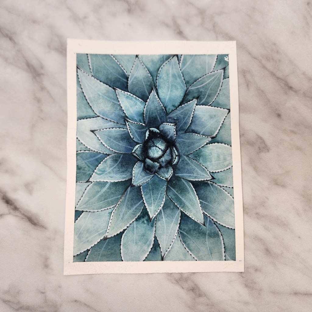 Original Aloe Watercolor