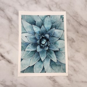 Original Aloe Watercolor