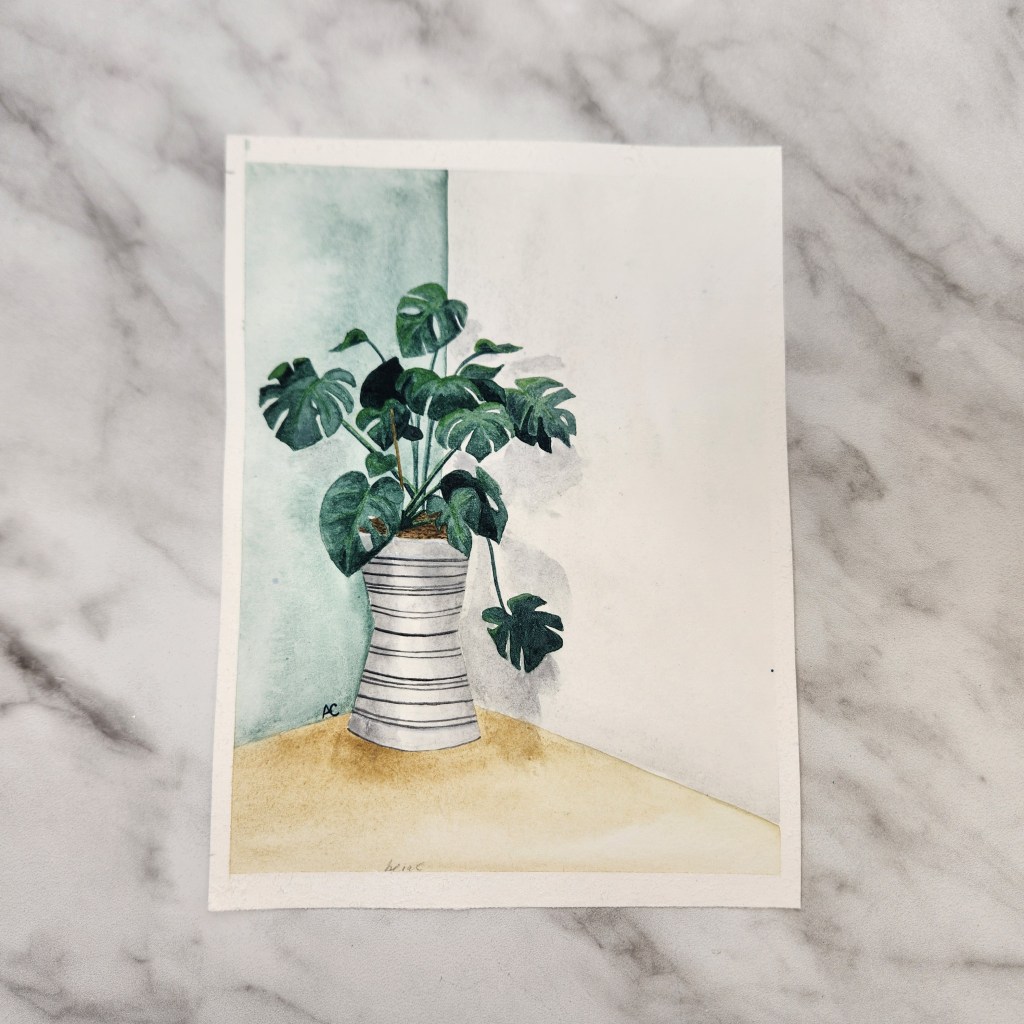 Original Potted Montsera