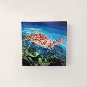 Original Turtle Collage